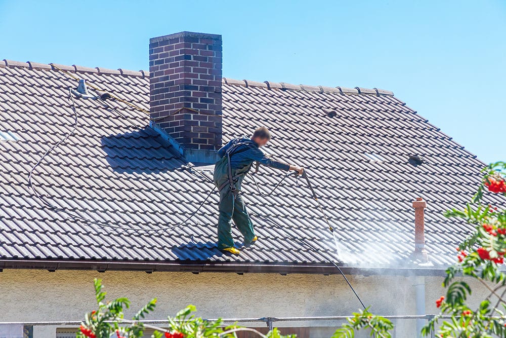 My Roof Has Moss or Algae – How Do I Clean It 2